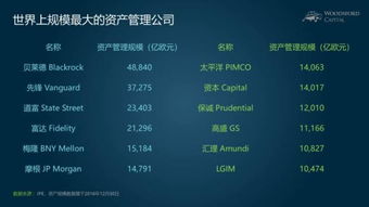 小烏龜學投資系列七 撥開迷霧，慧眼識珠——如何比較與區分海外股權投資機構